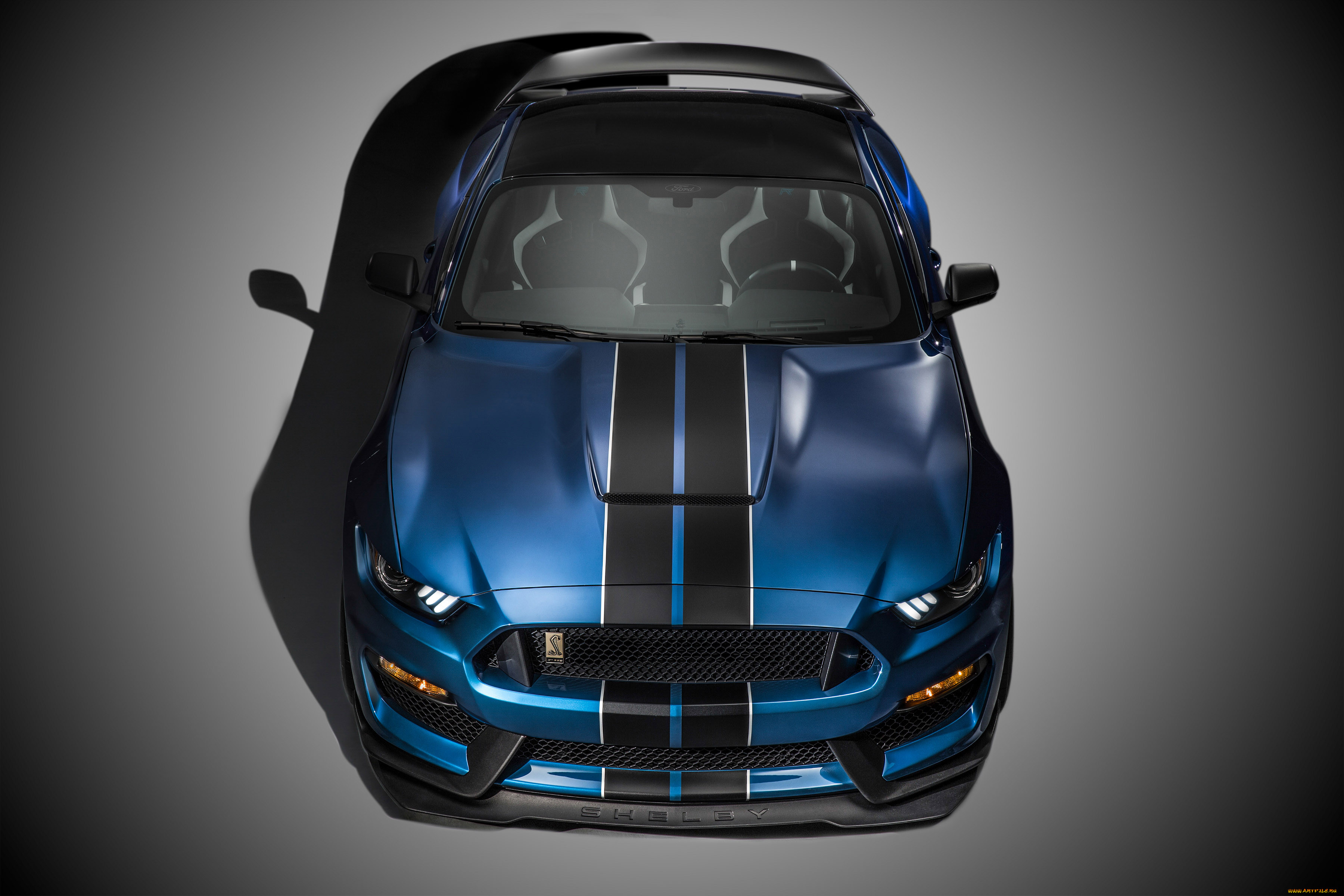 , mustang, shelby, 2016, , gt350r